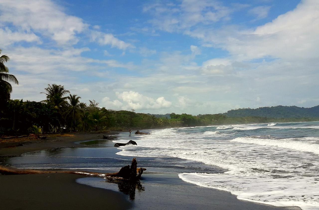 Casa Alegra Apartment Puerto Viejo de Talamanca ภายนอก รูปภาพ