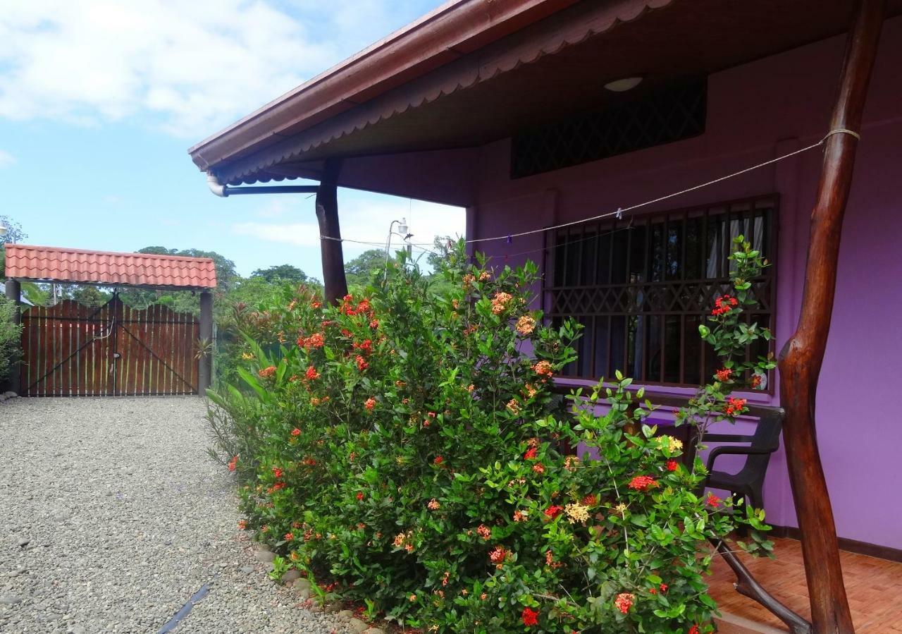 Casa Alegra Apartment Puerto Viejo de Talamanca ภายนอก รูปภาพ